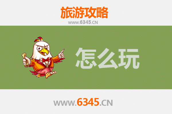 新北乌来节假日深度游：温泉、山林与泰雅文化之旅